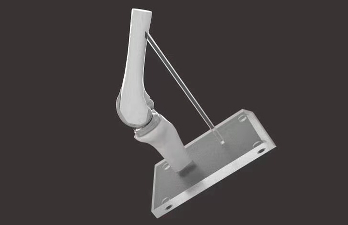 3D打印骨骼模型