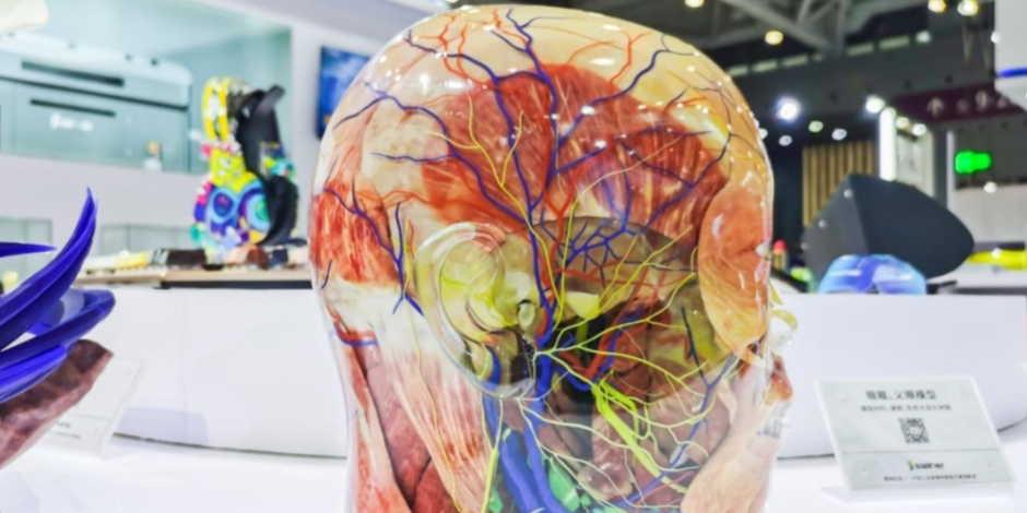 1676876000750 尊龙凯时·(中国区)人生就是搏!