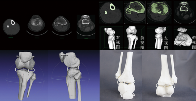 CTάؽģģ;ϸģ޸ģ3Dӡٳ