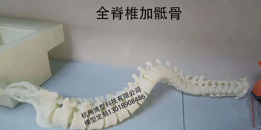 1 ×ðÁú¿Ê±¡¤(ÖйúÇø)ÈËÉú¾ÍÊDz«!