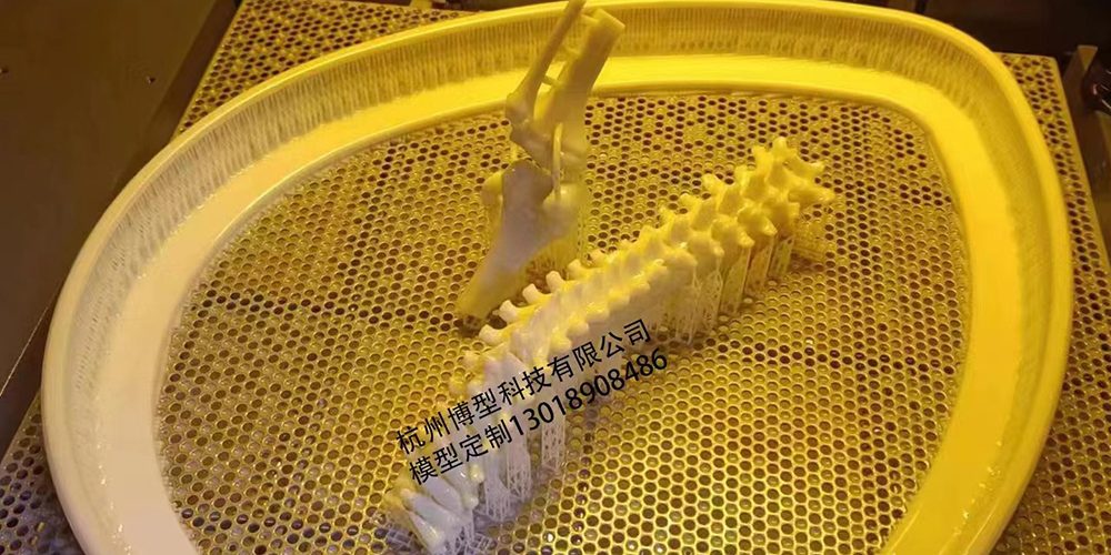 9 ×ðÁú¿Ê±¡¤(ÖйúÇø)ÈËÉú¾ÍÊDz«!